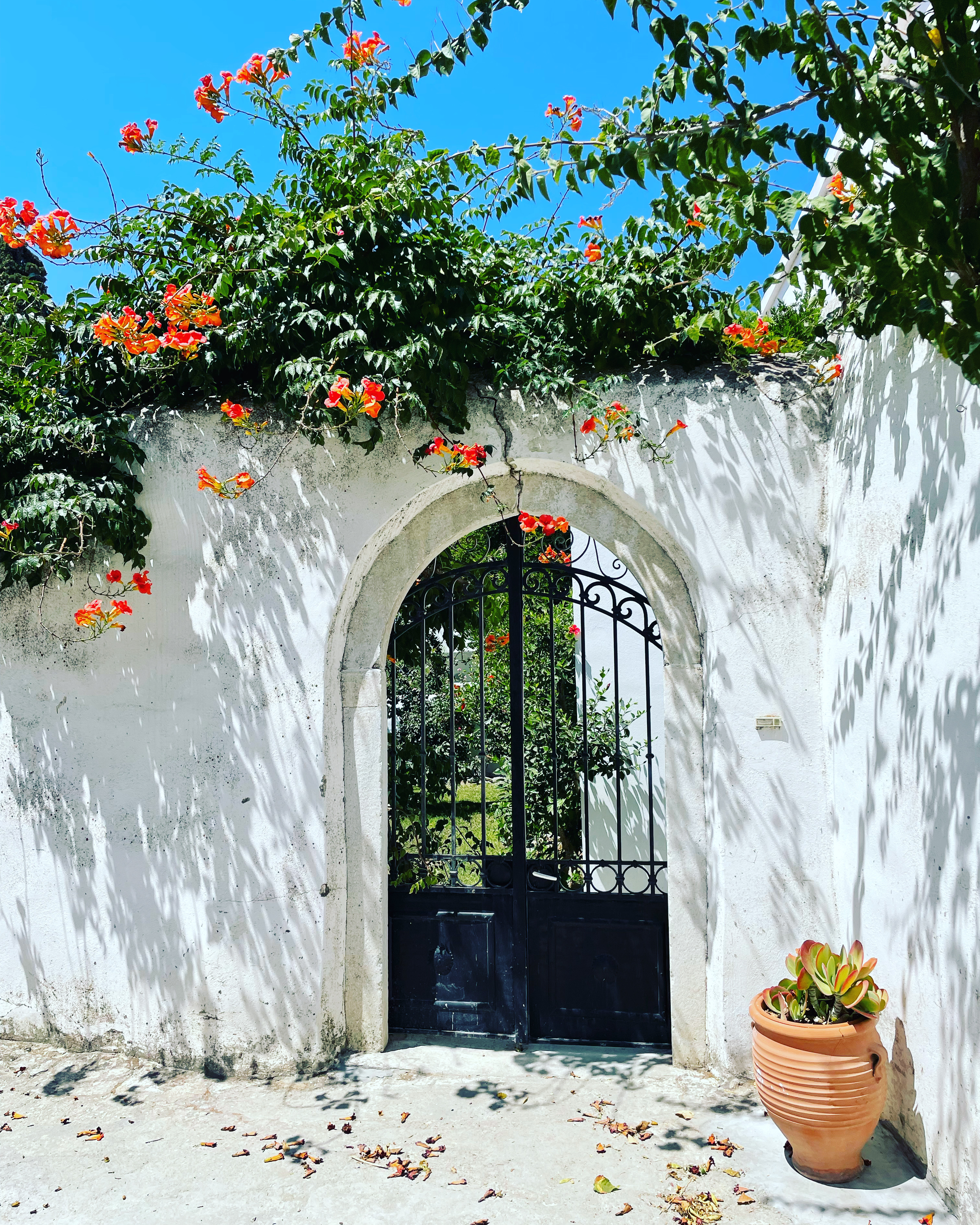Naxos in My Soul